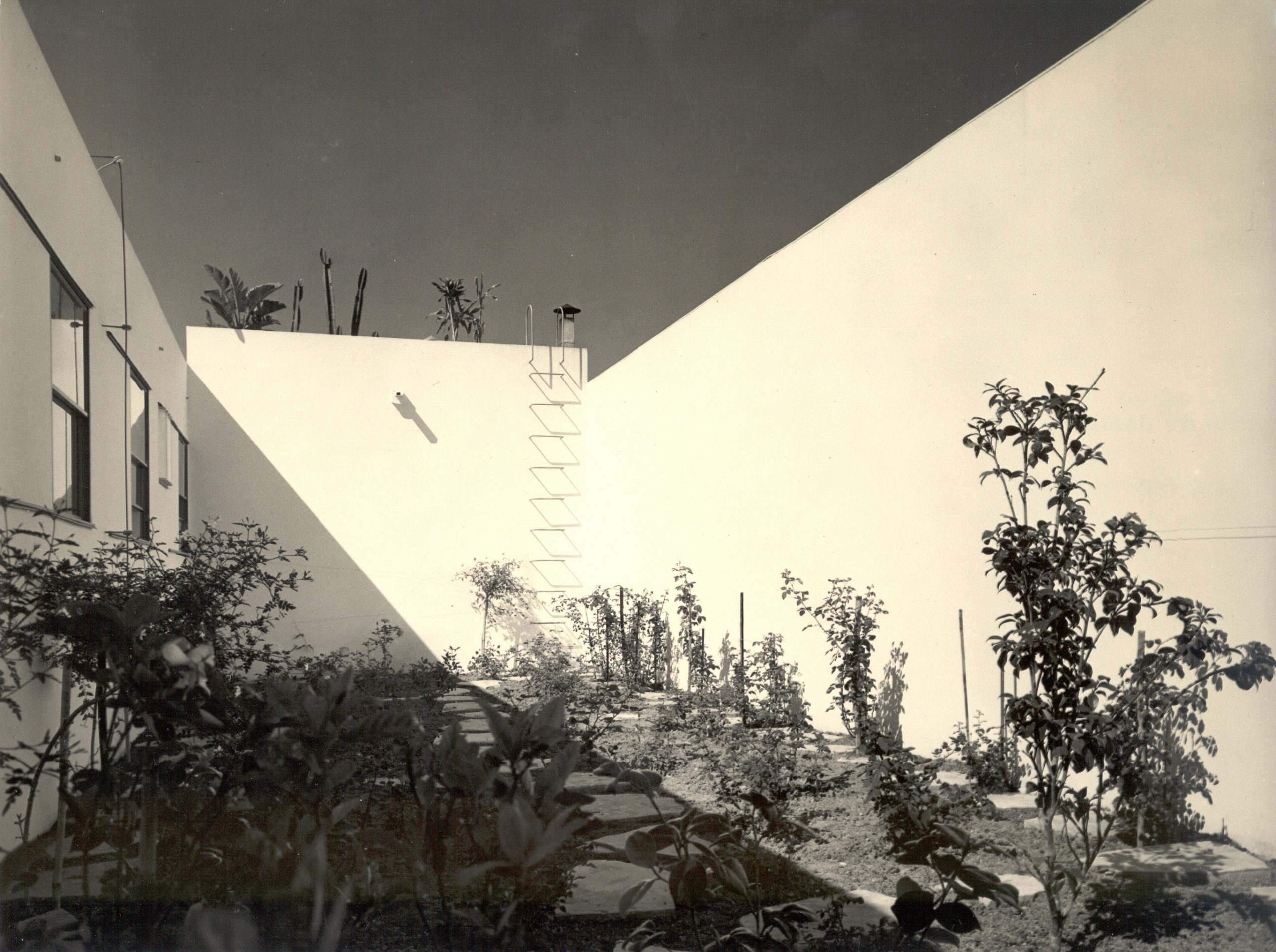 Glass House Casa de Vidro